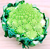 Biodynamisk romanesco broccoli
