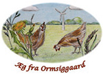 Biodynamiske æg fra Ormsiggaard