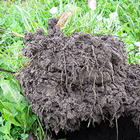 Foredrag om biodynamisk kvalitet i