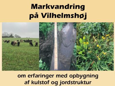 Biodynamisk Markvandring Vilhelmshøj